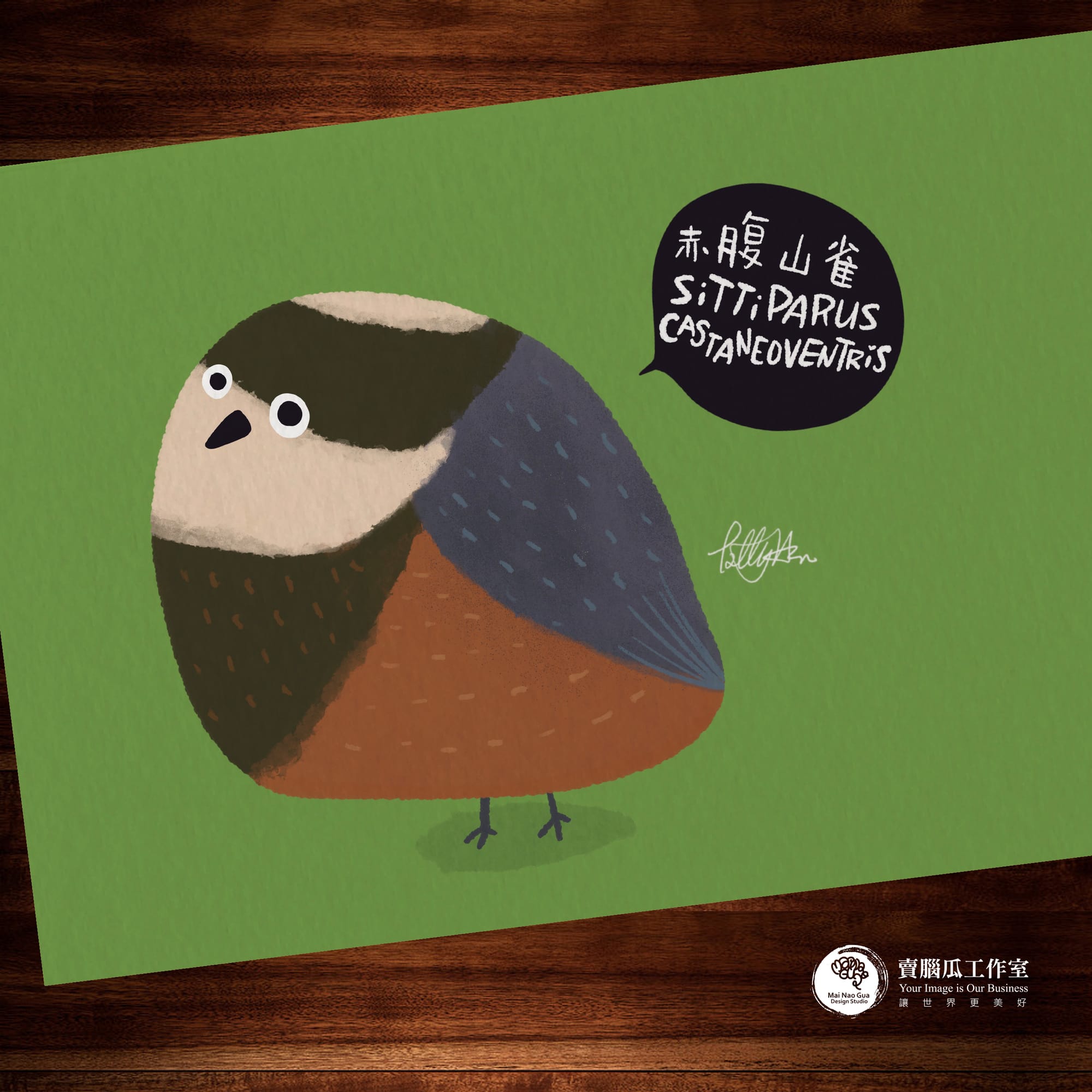 台灣特有種鳥類