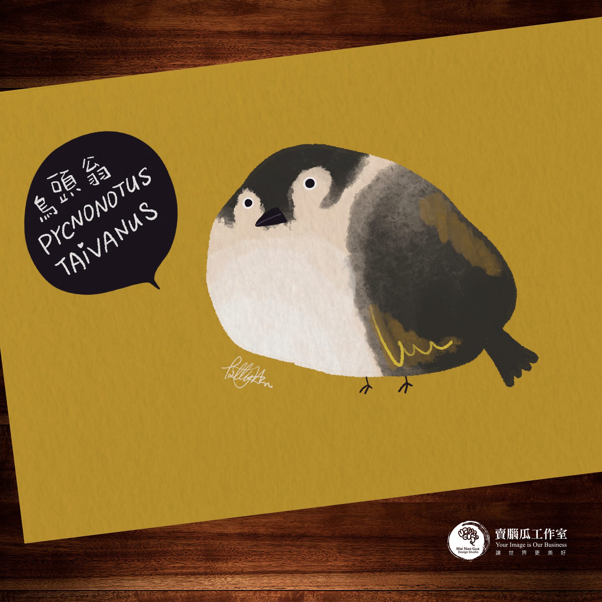 台灣特有種鳥類