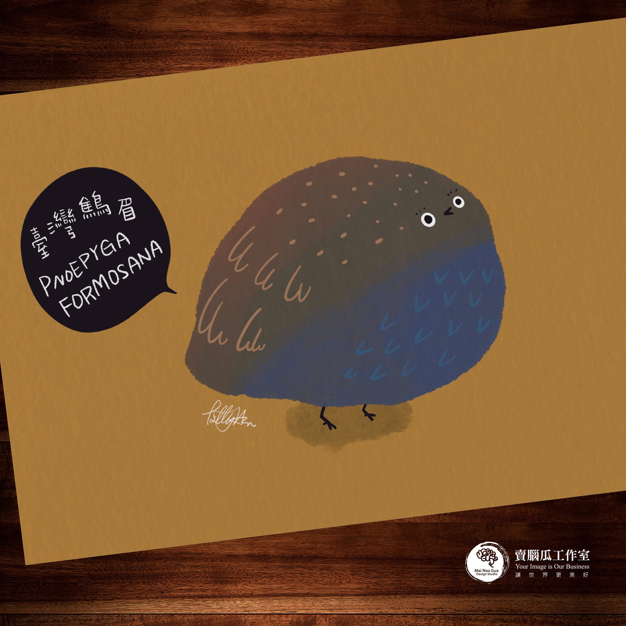 台灣特有種鳥類