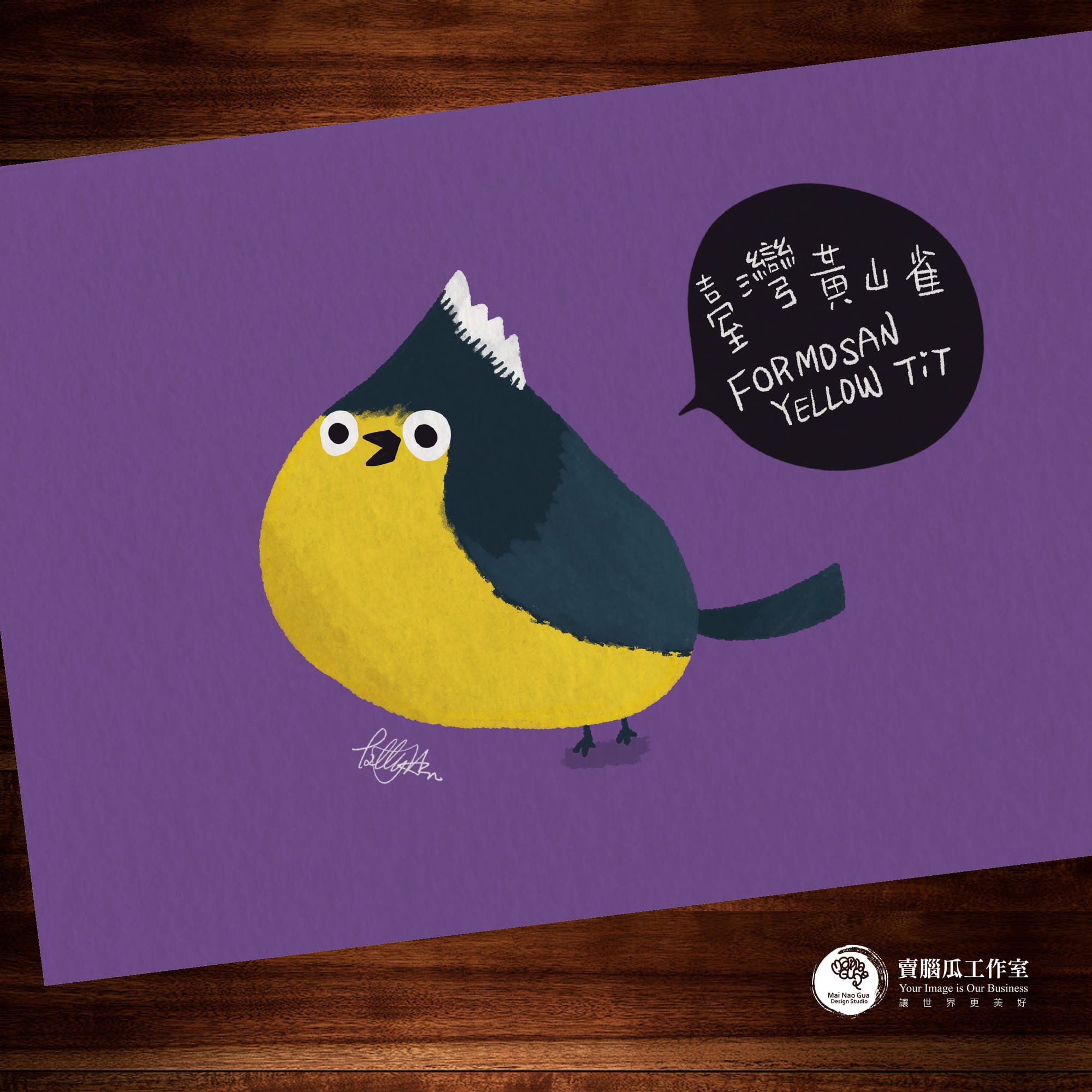 台灣特有種鳥類