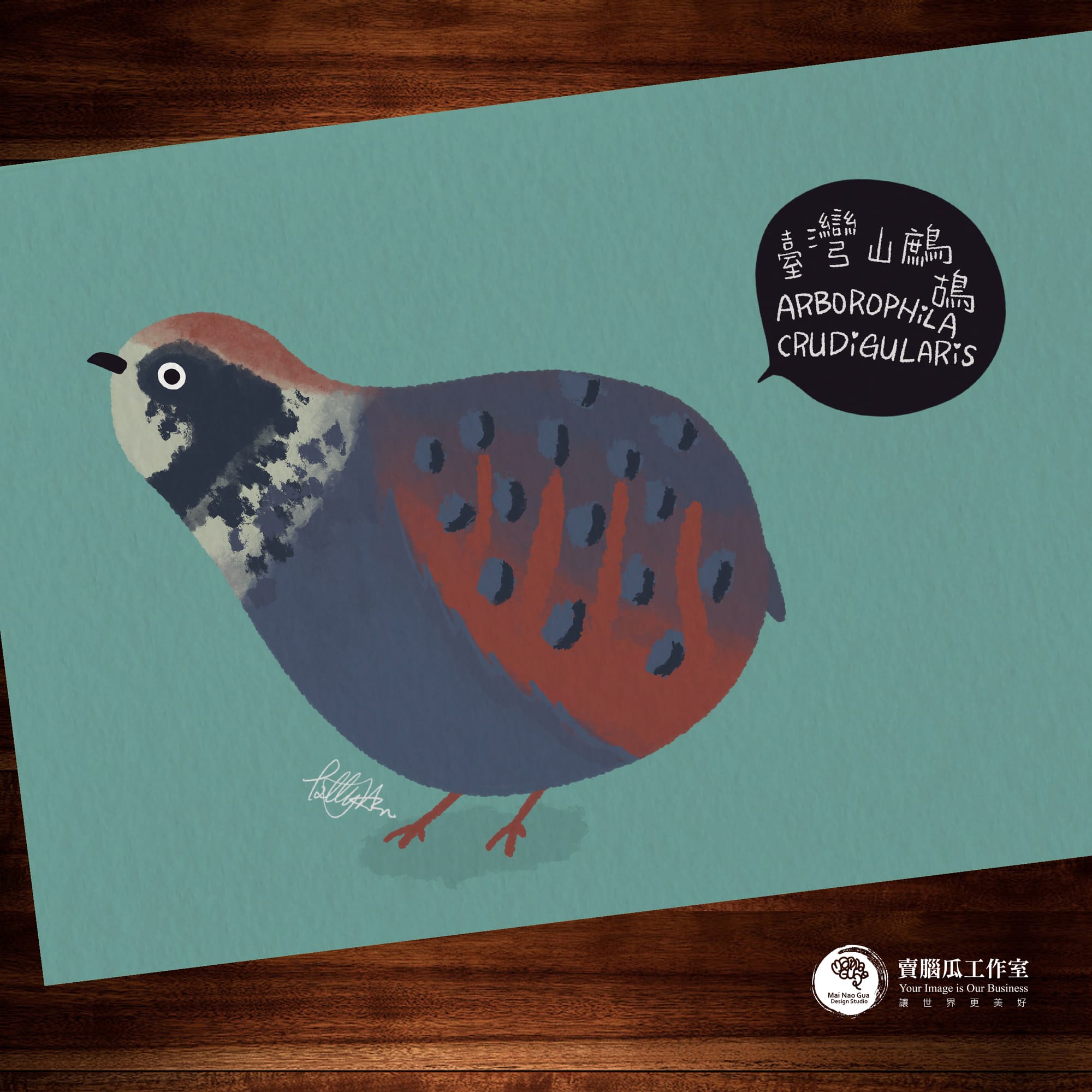 台灣特有種鳥類