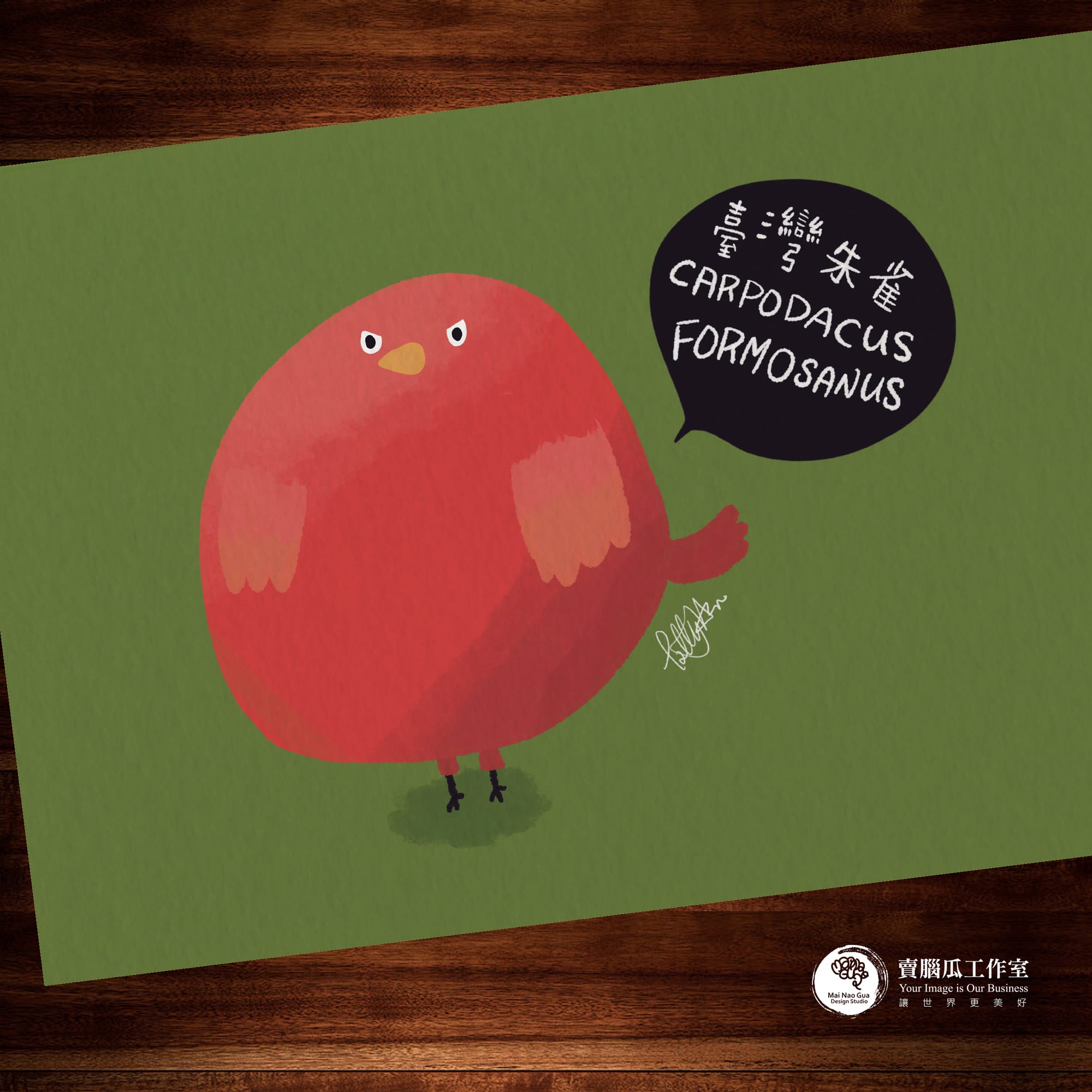 台灣特有種鳥類