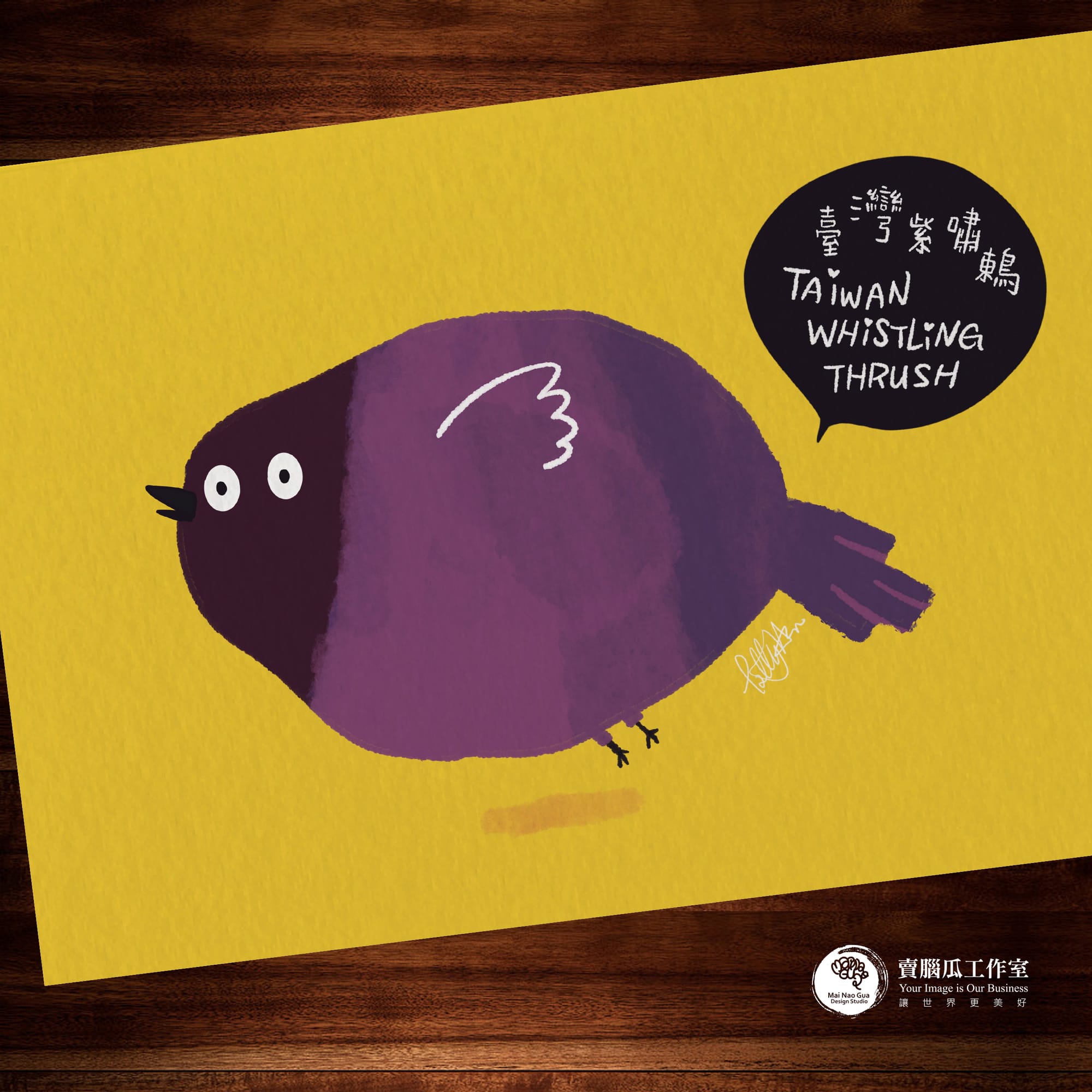 台灣特有種鳥類