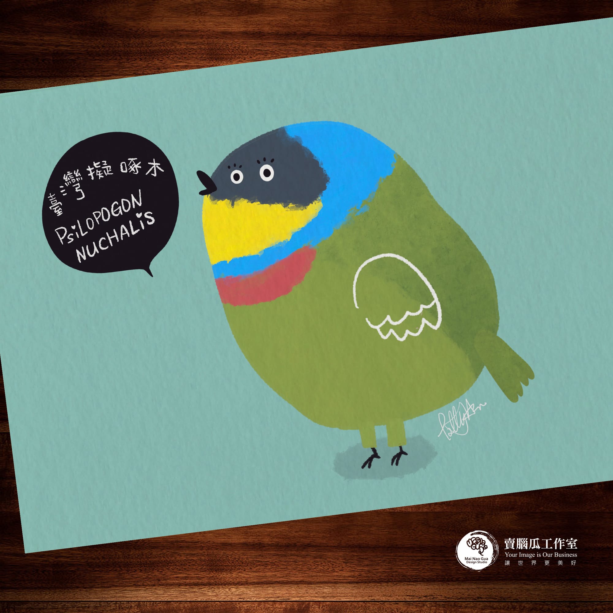 台灣特有種鳥類