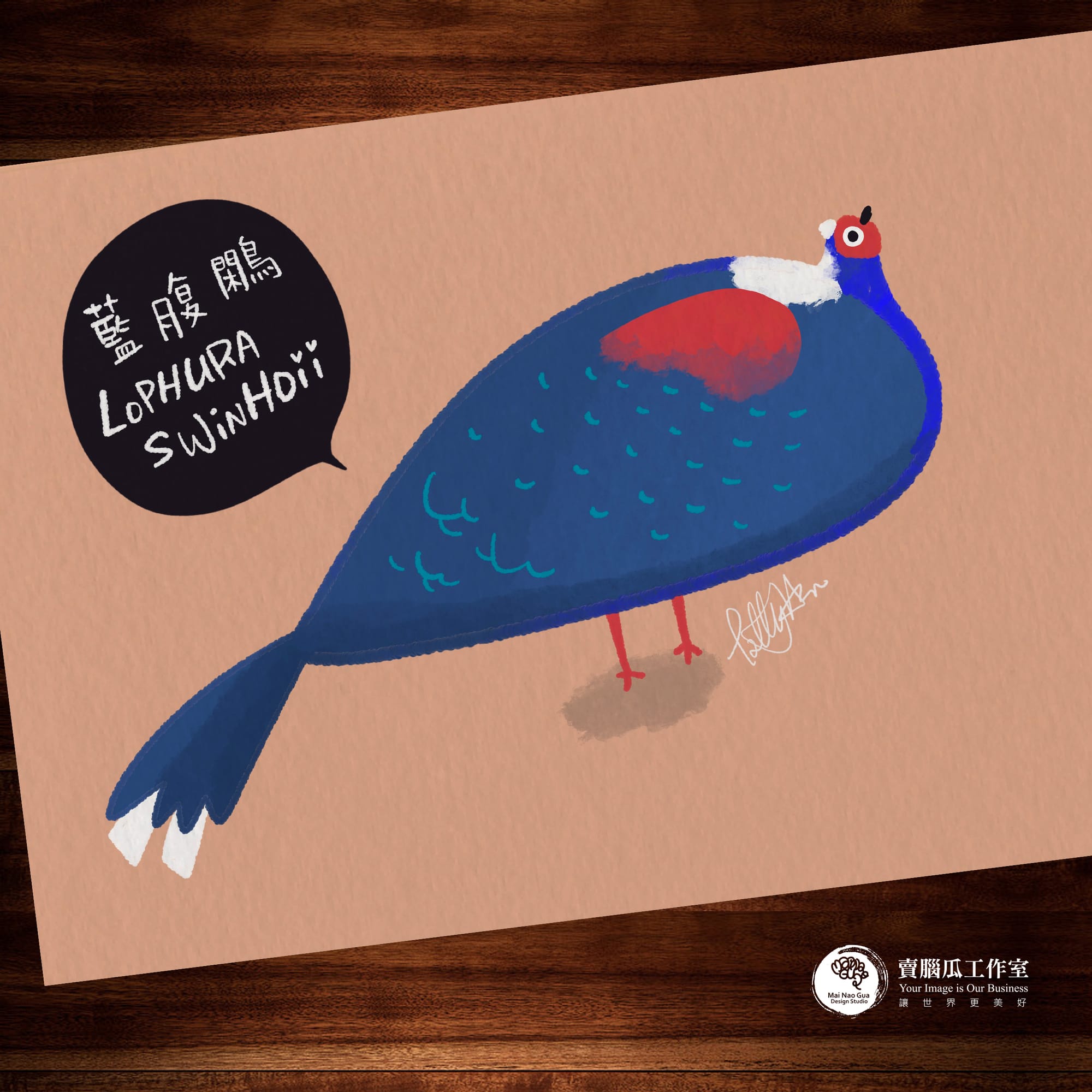 台灣特有種鳥類