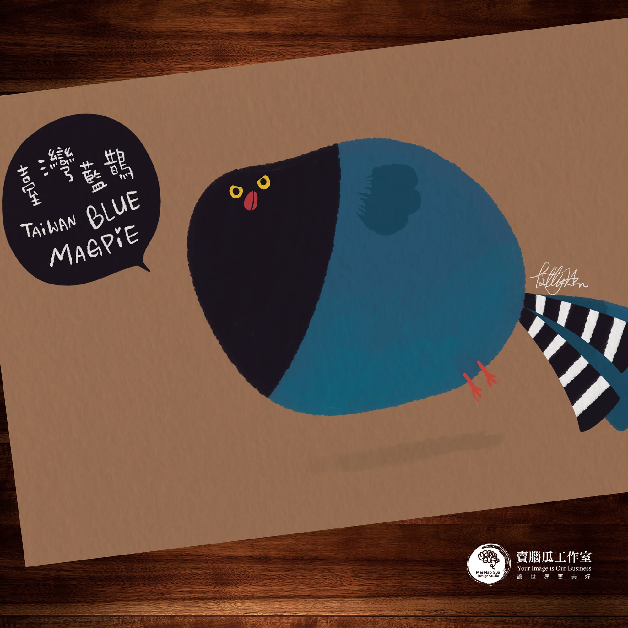 台灣特有種鳥類