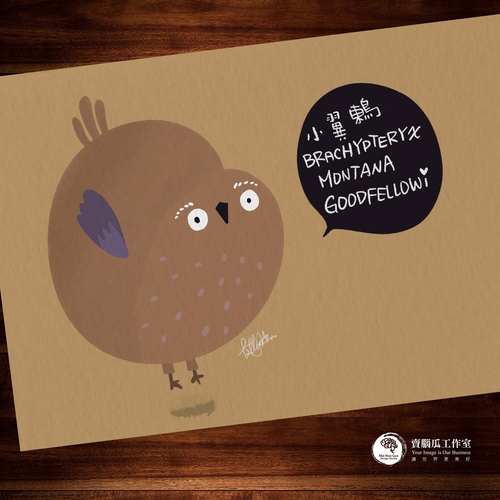 台灣特有種鳥類