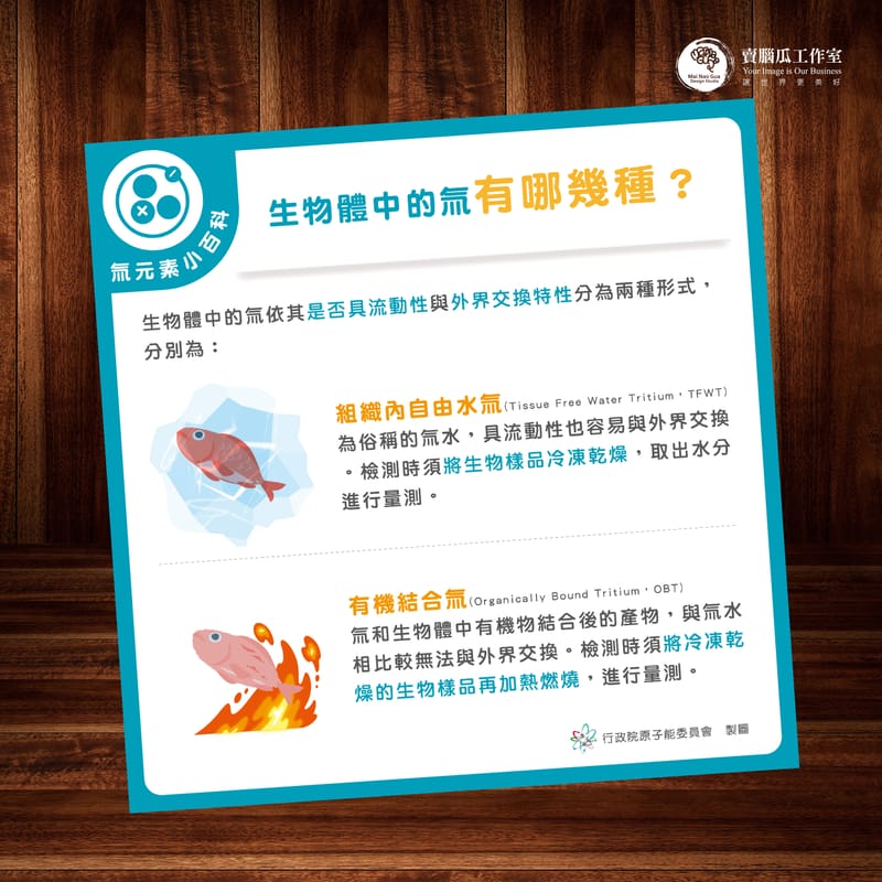 原能會資訊圖卡設計