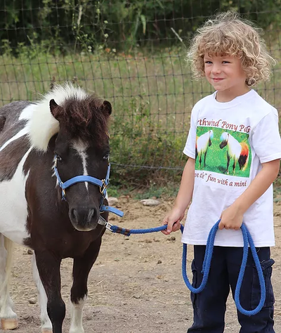 Why Outdoor Therapy?