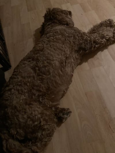 Das Bäuchlein wächst