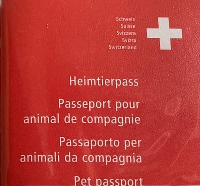 Besuch beim Tierarzt