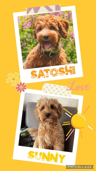 Es geht wieder los…