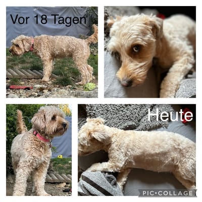 Alles sieht super aus