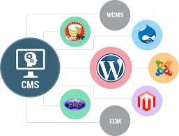 How to design a CMS website: Advantages of having a CMS Website