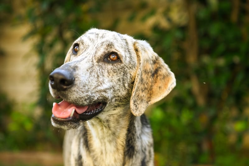 10 FOTO (file digitale) + 1 STAMPA formato 30x40