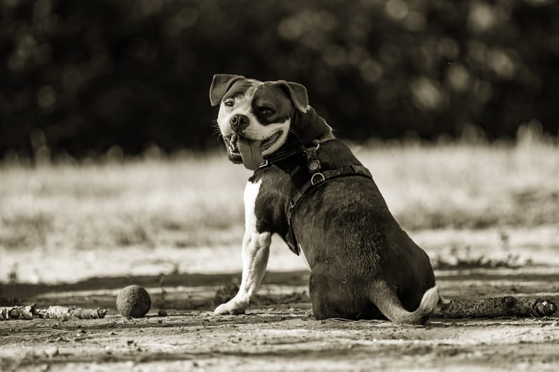 10 FOTO (file digitale) + 1 STAMPA formato 30x40