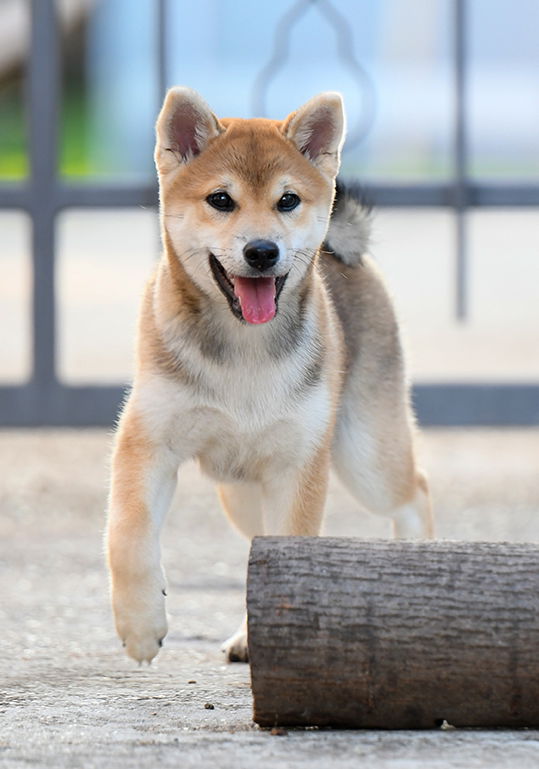 10 FOTO (file digitale) + 1 STAMPA formato 30x40