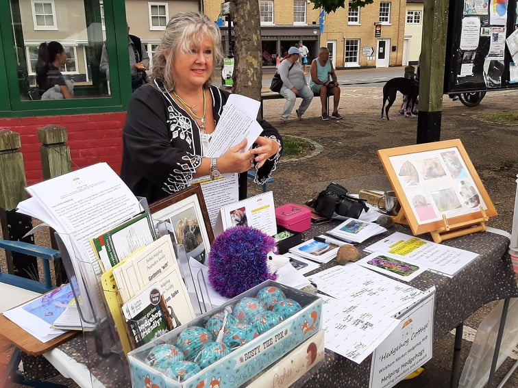 Christmas Craft Fair, Wickham Market Village Hall