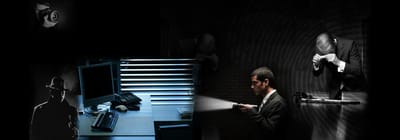 Due Diligence Auckland image