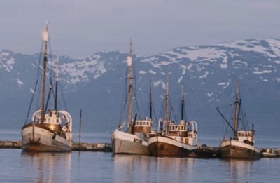 15. februar: «Tromsø – en Ishavsby?» image