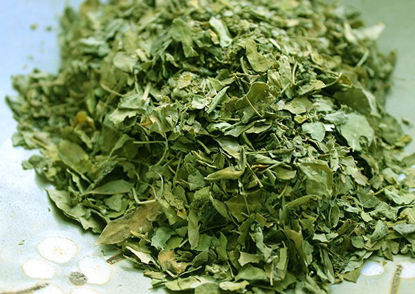 Moringa