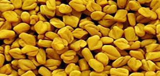 Fenugreek