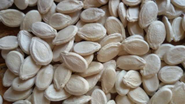 Pumpkin Seeds