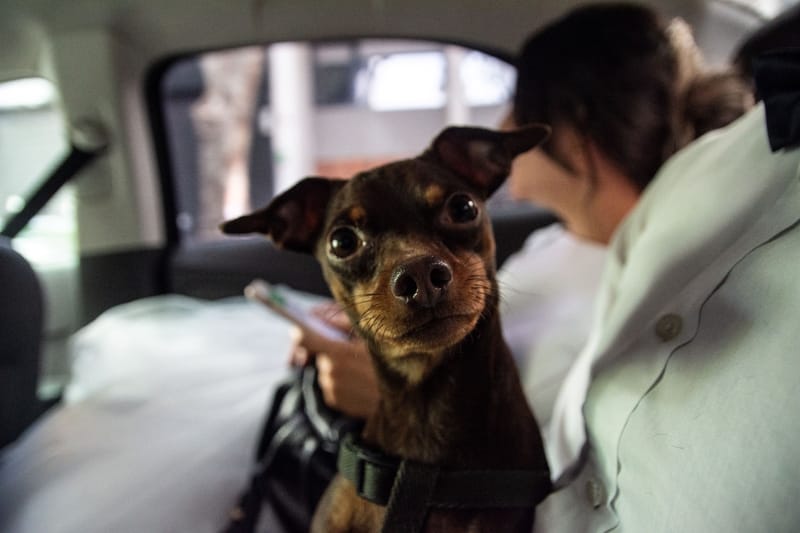 Colombia y Argentina - Amor sin barreras