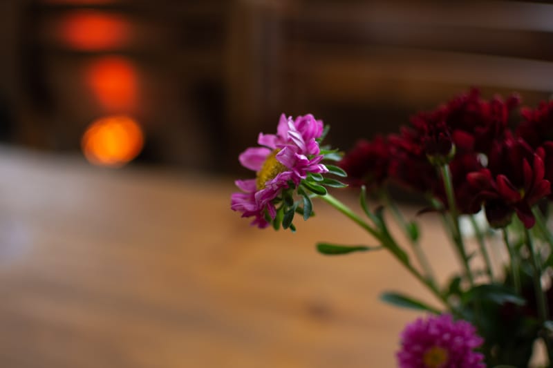 Lagos del Rocio - Pilar