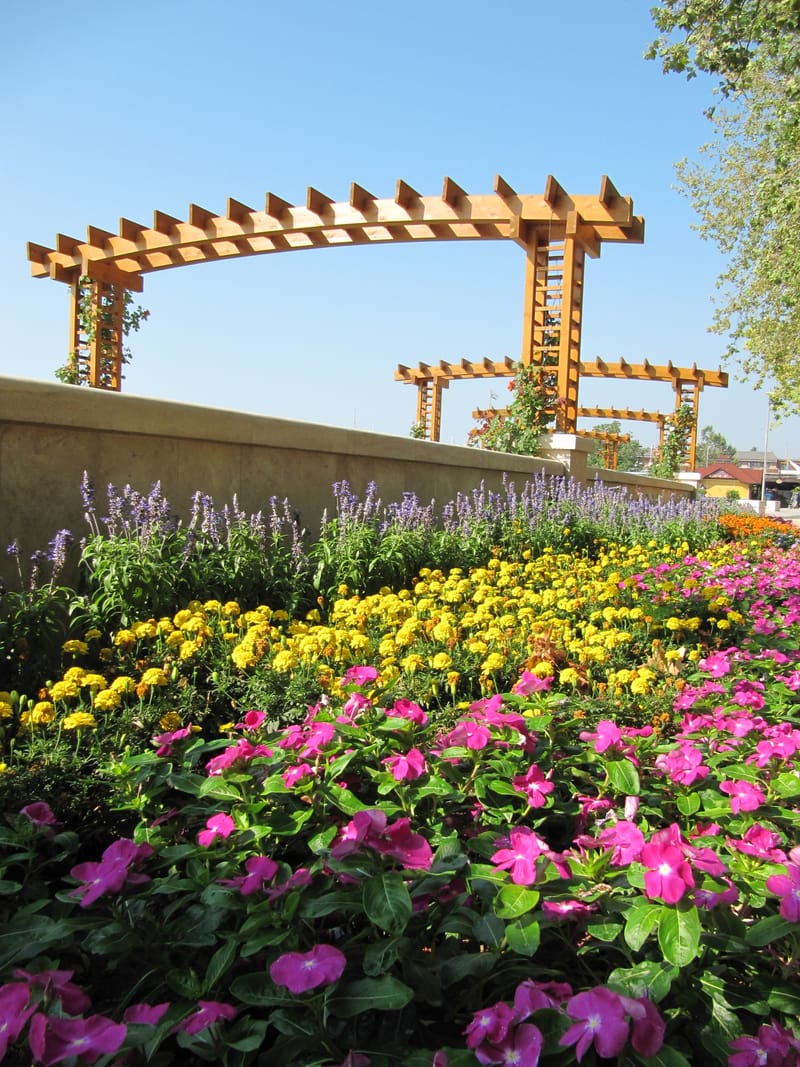 2010-2019 Balatonfüred egy- és kétnyári kiültetéseinek tervezése