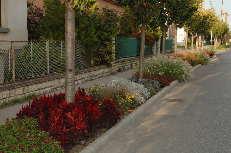 2010-2019 Balatonfüred egy- és kétnyári kiültetéseinek tervezése