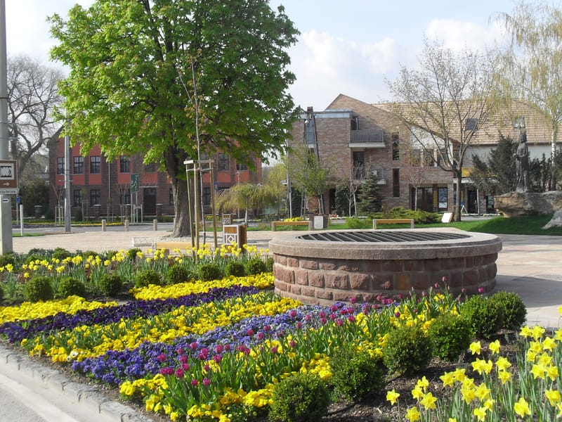 2010-2019 Balatonfüred egy- és kétnyári kiültetéseinek tervezése