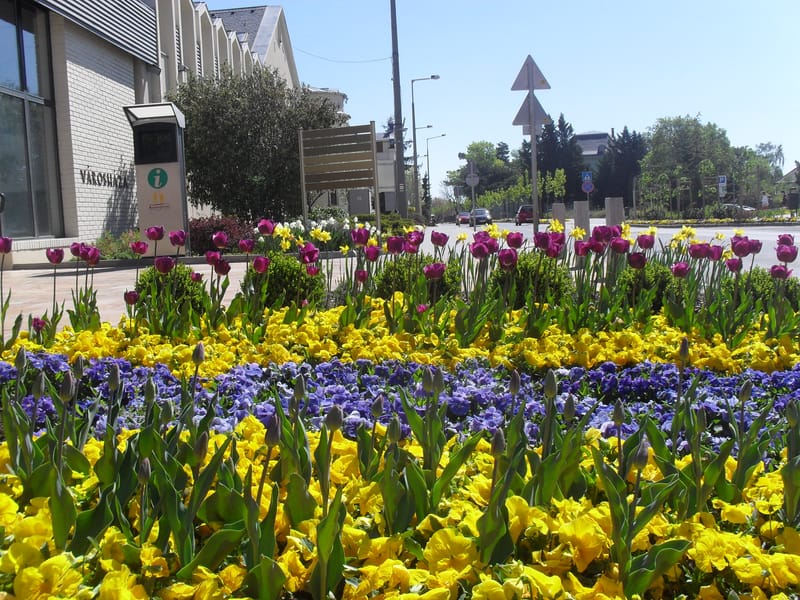 2010-2019 Balatonfüred egy- és kétnyári kiültetéseinek tervezése