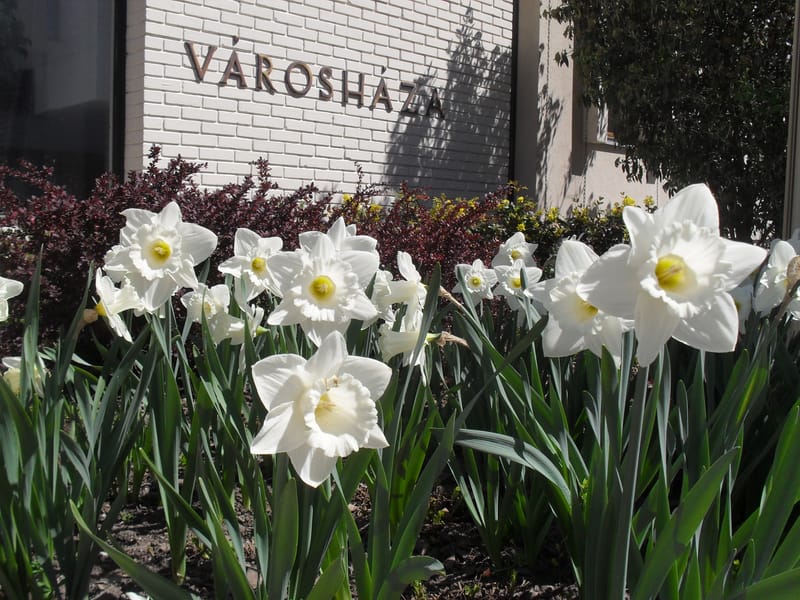 2010-2019 Balatonfüred egy- és kétnyári kiültetéseinek tervezése