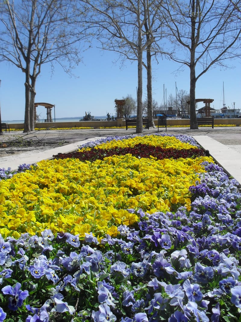 2010-2019 Balatonfüred egy- és kétnyári kiültetéseinek tervezése