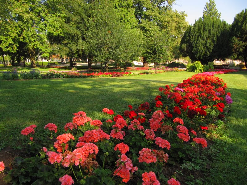 2010-2019 Balatonfüred egy- és kétnyári kiültetéseinek tervezése