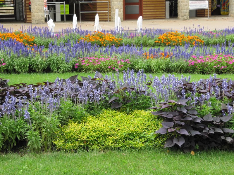 2010-2019 Balatonfüred egy- és kétnyári kiültetéseinek tervezése