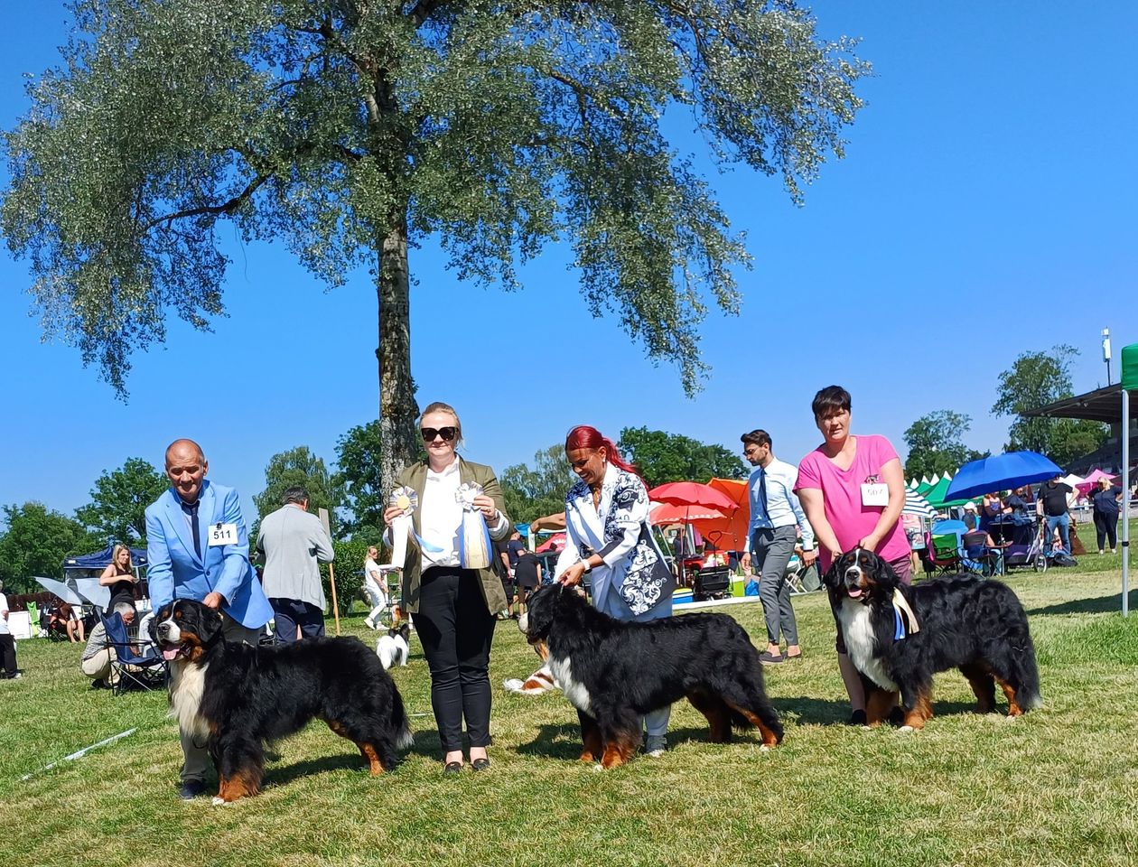 IHA- 24.Juni 2023 Aarau/CH- Championklasse: vorzüglich, Platz 3