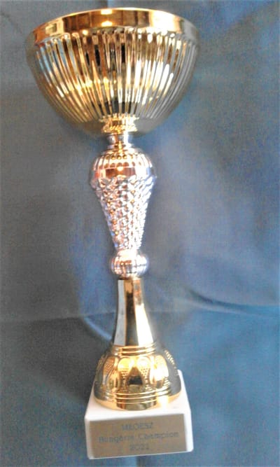 magyarul rólunk image