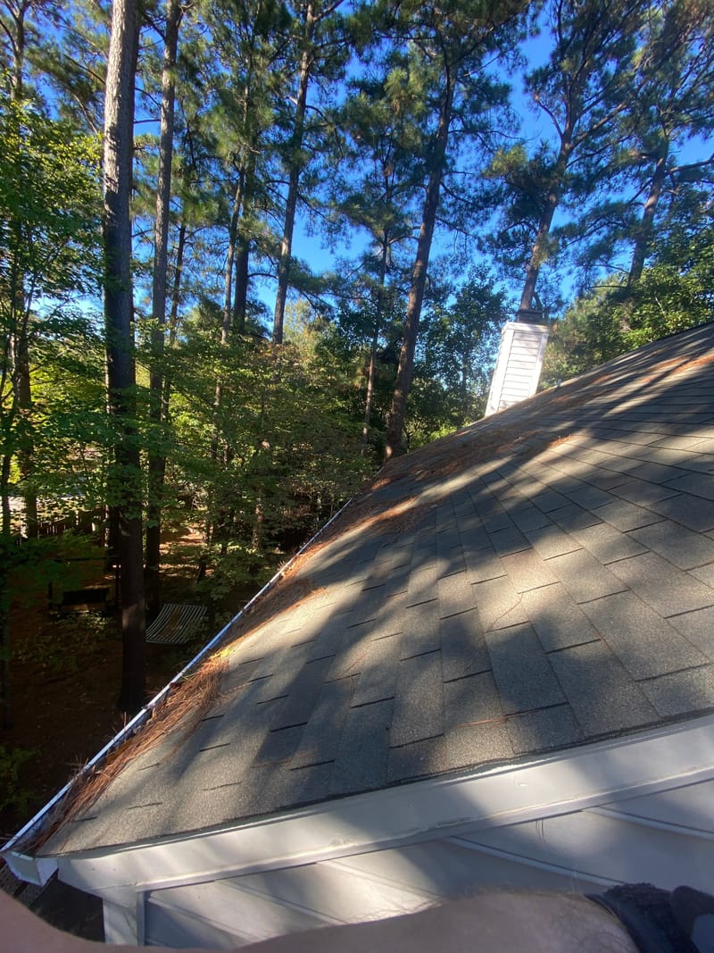 Roof Cleaning