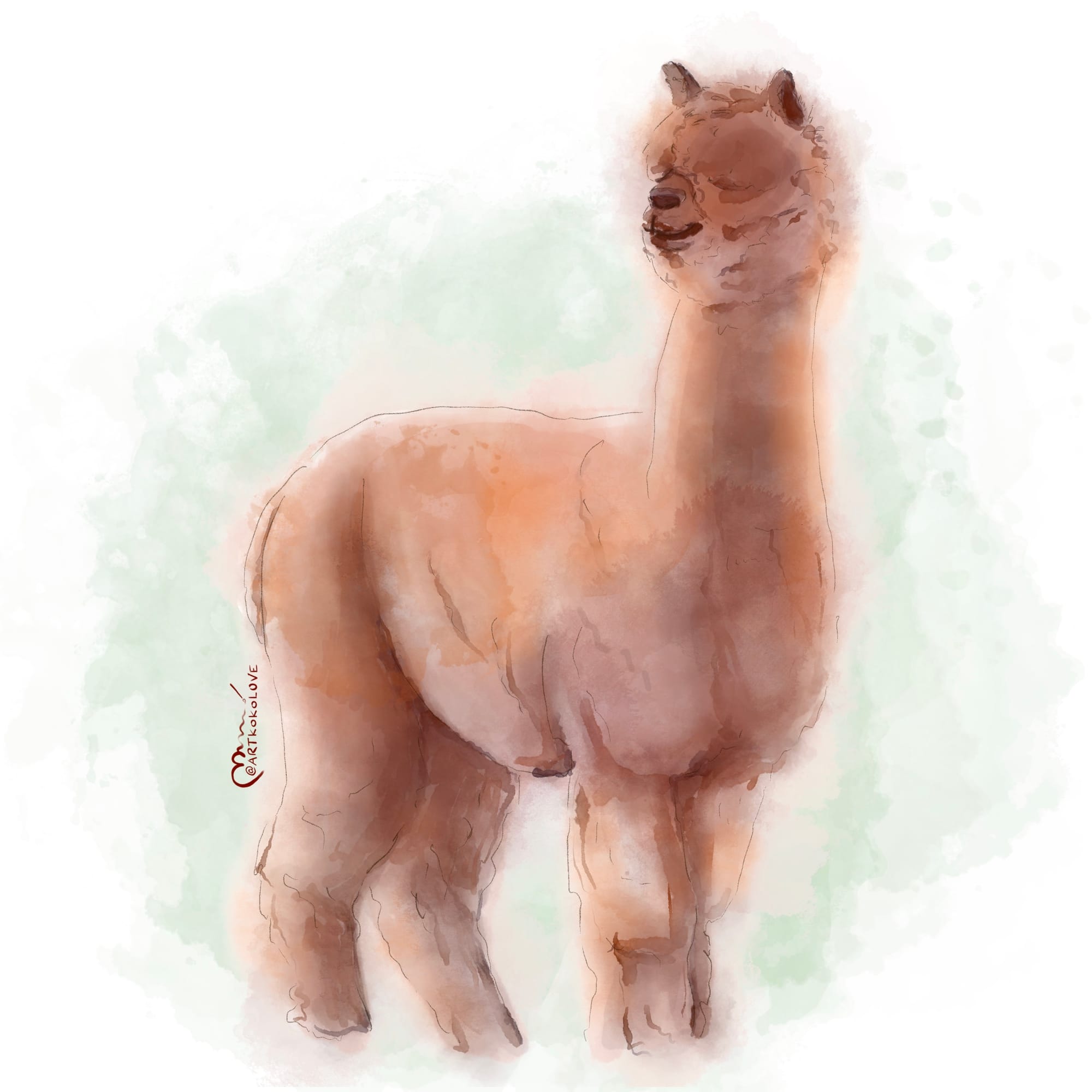 Watercolor 