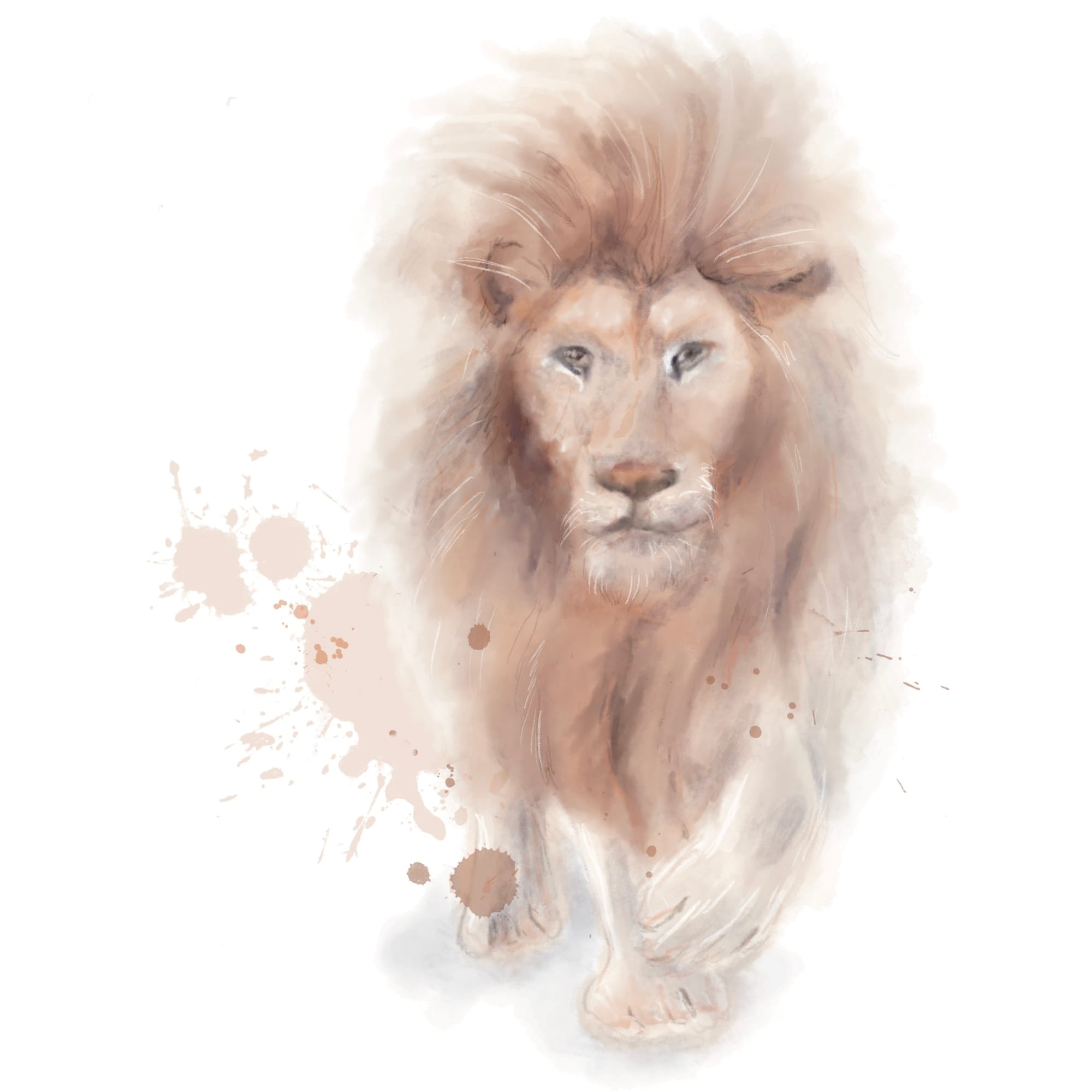 Watercolor 