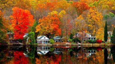 AboUT New England Foliage image