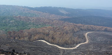 Wild fire investigation & litigation