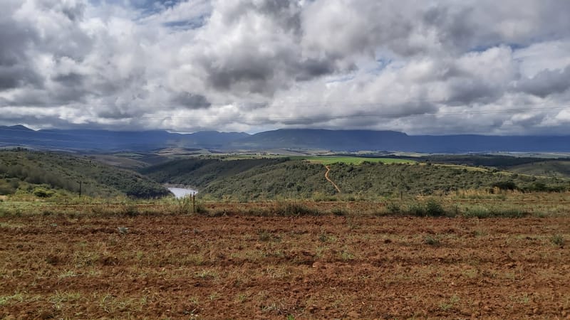 Wolvedans West Avocado Orchard Extension