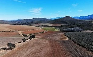 Spitskop Irrigation Dam EIA