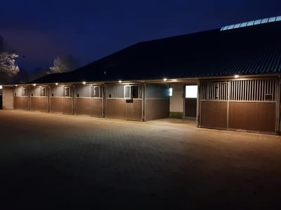 {{trans:3bb11c3d981304685e078f935de27ef1_1}} image