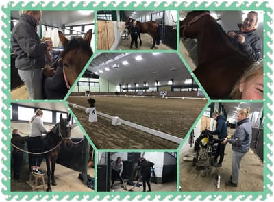 Manege en ruiterproeven op 28 en 29 juni 2025