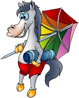 Vakantie manege vanaf 3 augustus t/m 17 augustus 2025