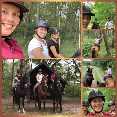 Gouden oktoberrit op 12 oktober 2025